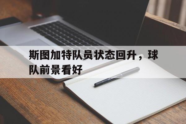 斯图加特队员状态回升，球队前景看好